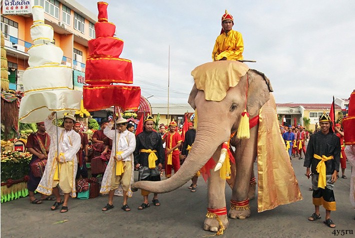 день слона тайланд
