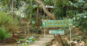 Khao Phra Thaeo